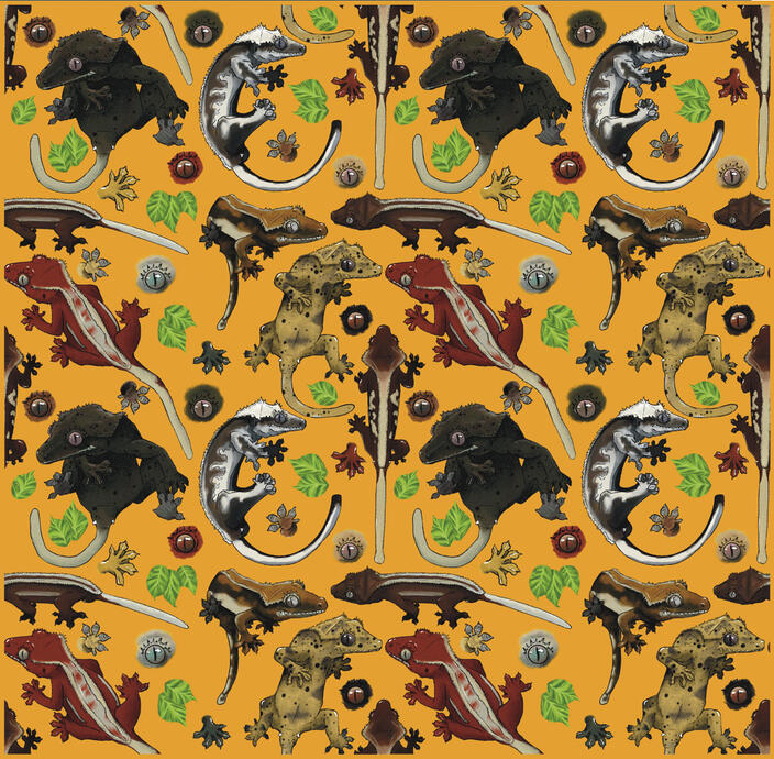 crested gecko pattern 2021