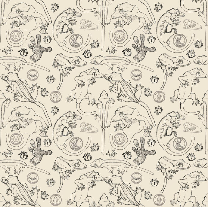 Crested gecko pattern 2021